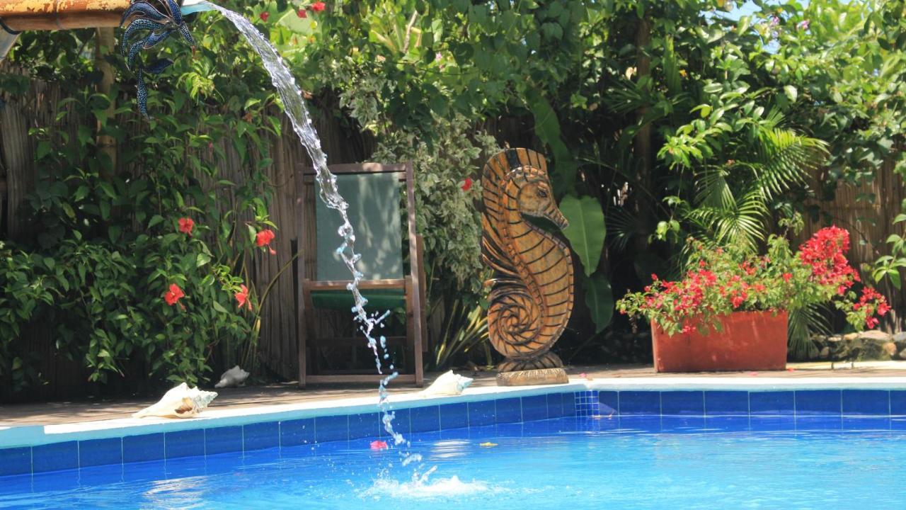 La Natura Hostel & Pool Palomino Buitenkant foto