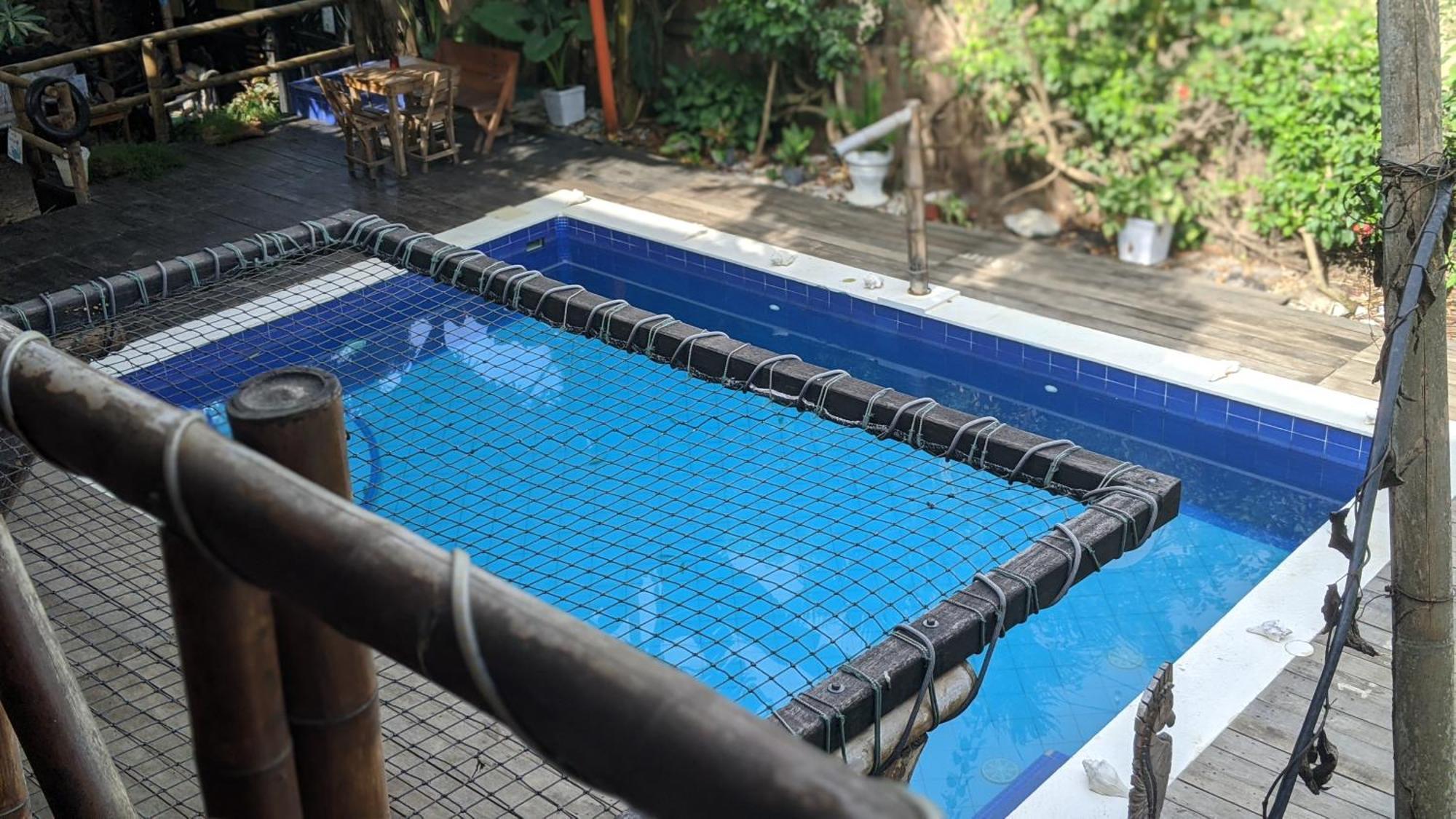 La Natura Hostel & Pool Palomino Buitenkant foto