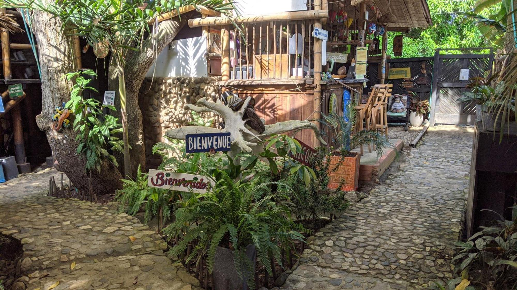 La Natura Hostel & Pool Palomino Buitenkant foto